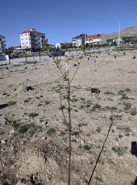 Yetkili kaynaklardan gelen bilgilere göre, Emirdağ Belediyesi, ilçe genelinde başlattığı