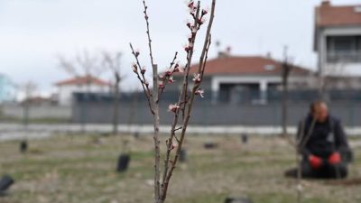 Yapılan açıklamalar doğrultusunda, Emirdağ’da Meyve Parkı Projesi Yenidoğan Mahallesi’nde Hayata