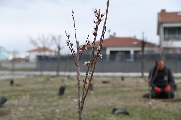 Yapılan açıklamalar doğrultusunda, Emirdağ’da Meyve Parkı Projesi Yenidoğan Mahallesi’nde Hayata