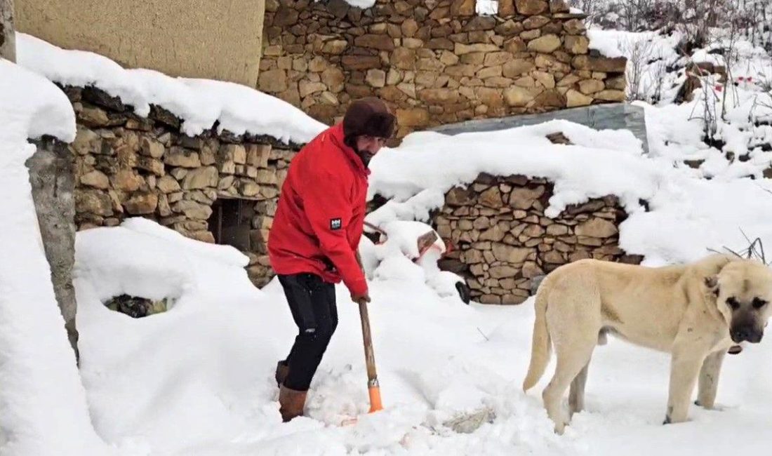 Erzincan’da Nisan’da Kar Sürprizi: Yükselen Kesimler Beyaza Büründü Tüm gözlerin çevrildiği bu gelişmede, Bahar Beklenirken Kar Geldi Erzincan
