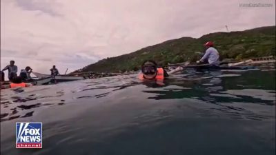 Gündeme gelen son gelişmelere göre, Turistin Balina Köpekbalığıyla Beklenmedik Karşılaşması