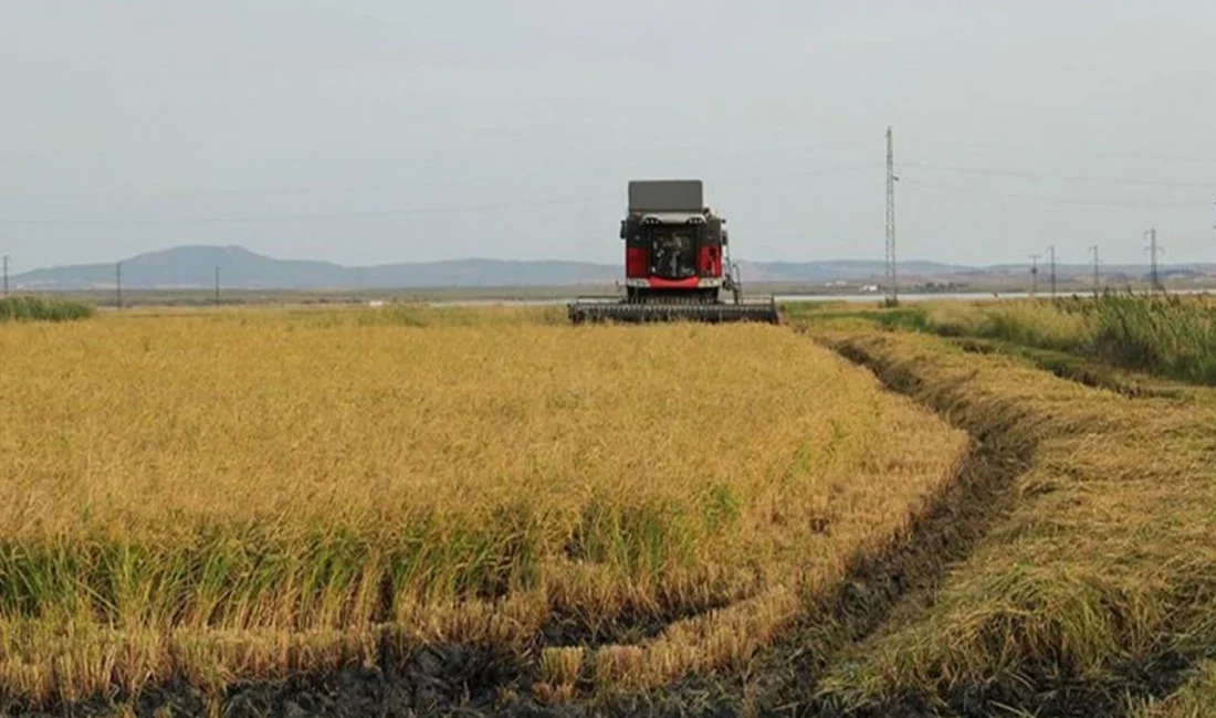 Yapılan açıklamalar doğrultusunda, Fransa hükümeti, Orta Doğu’da devam eden çatışmaların