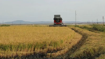 Yapılan açıklamalar doğrultusunda, Fransa hükümeti, Orta Doğu’da devam eden çatışmaların