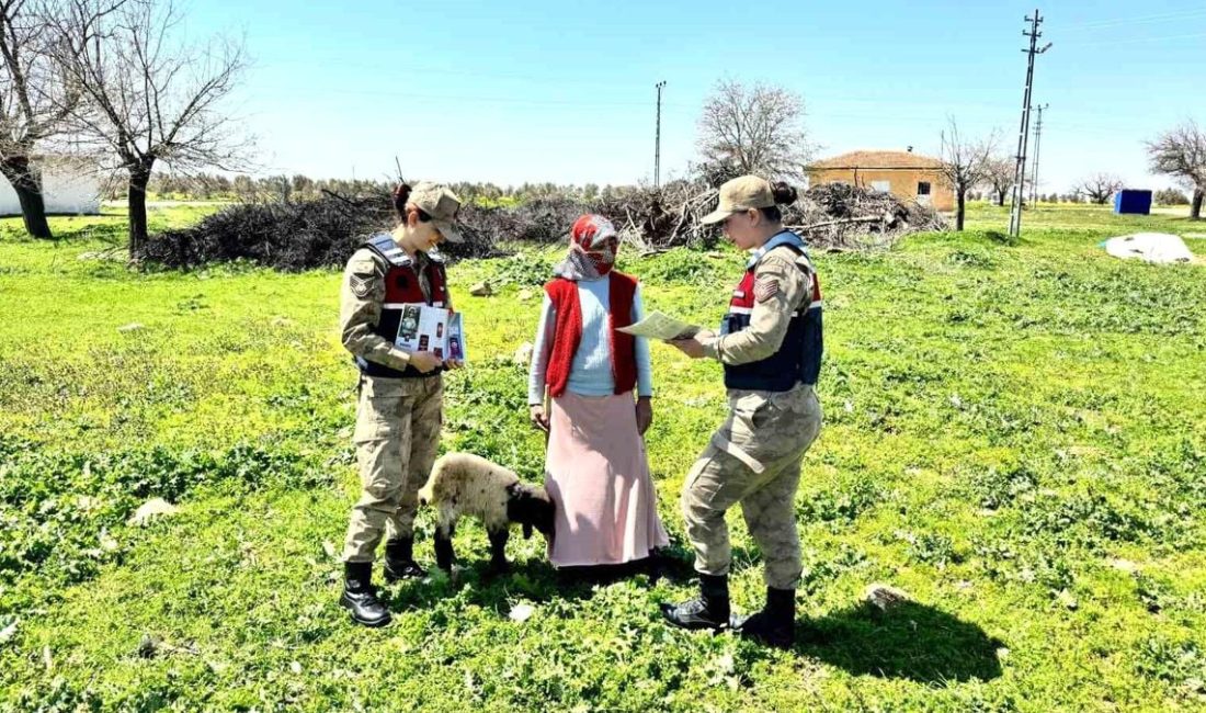 Kamuoyunu yakından ilgilendiren bu haberde, Gaziantep İl Jandarma Komutanlığı ekipleri,