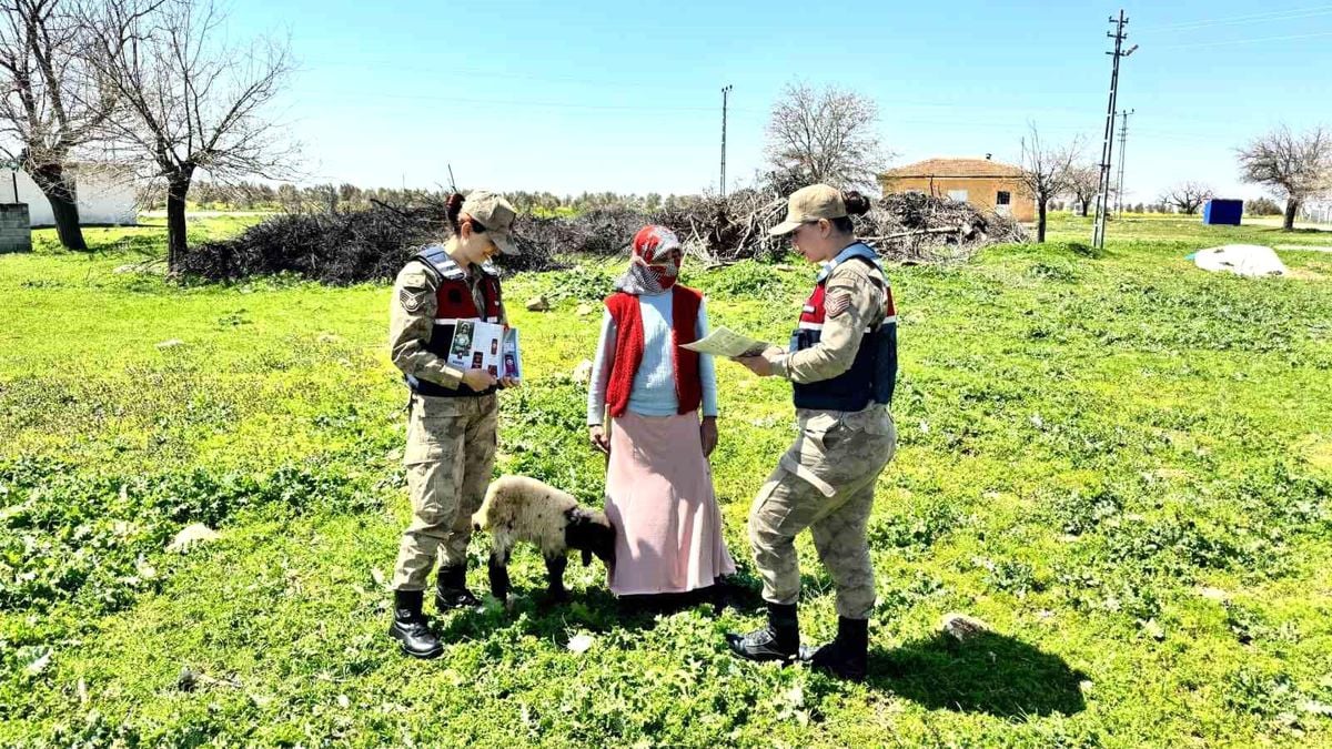 Kamuoyunu yakından ilgilendiren bu haberde, Gaziantep İl Jandarma Komutanlığı ekipleri,