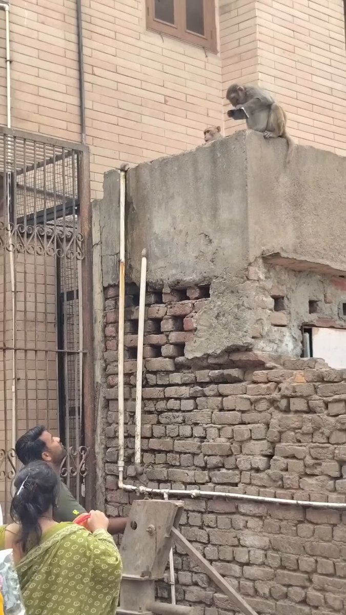 Kamuoyunda büyük yankı uyandıran bu haberde, Yiyecek Karşılığında Yapılan Takas