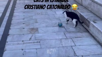 Kamuoyunu yakından ilgilendiren bu haberde, Mahalle Sahasında Beklenmedik Oyuncu İstanbul’un