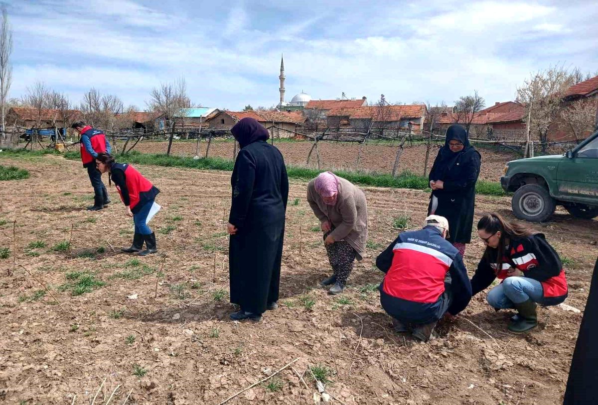 Son dakika bilgilerine göre, Kütahya’da Tarımsal Kalkınma Hamlesi Kütahya İl