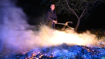 Merakla takip edilen bu gelişmede, Manisa’da çiftçiler don tehlikesine karşı