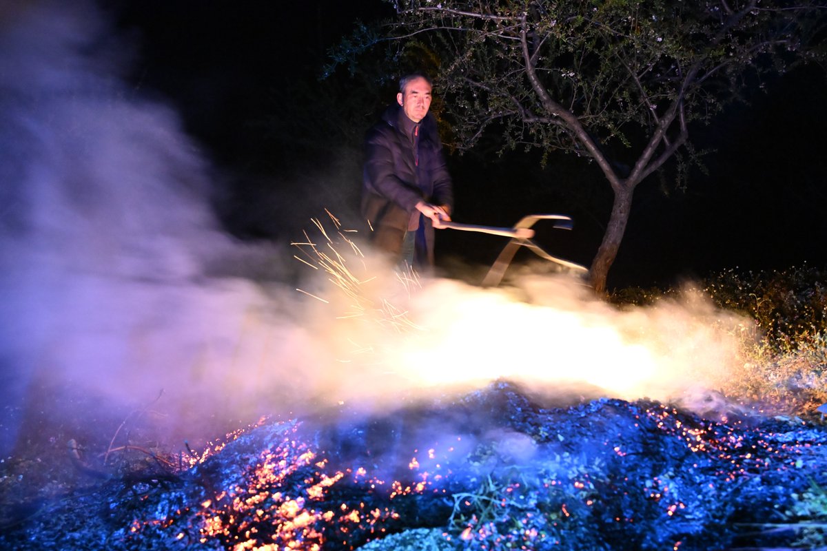 Merakla takip edilen bu gelişmede, Manisa’da çiftçiler don tehlikesine karşı