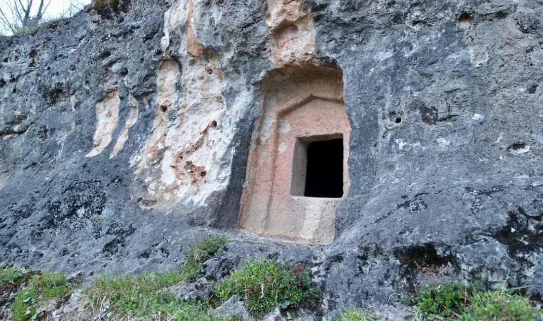 Kamuoyunda büyük yankı uyandıran bu haberde, Ordu’nun Gürgentepe ilçesinde bulunan