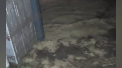 Son dakika bilgilerine göre, Of’ta çay fabrikası çalışanı tur otobüslerini