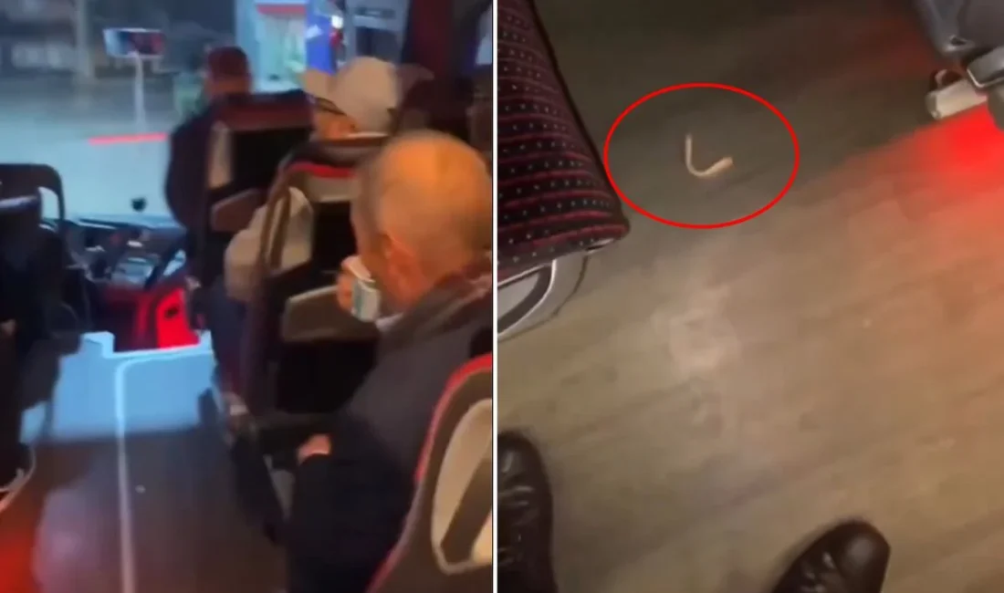 Yapılan açıklamalar doğrultusunda, Otobüste Yaşanan Komik Anlar Kameralara Yansıdı Şehirler