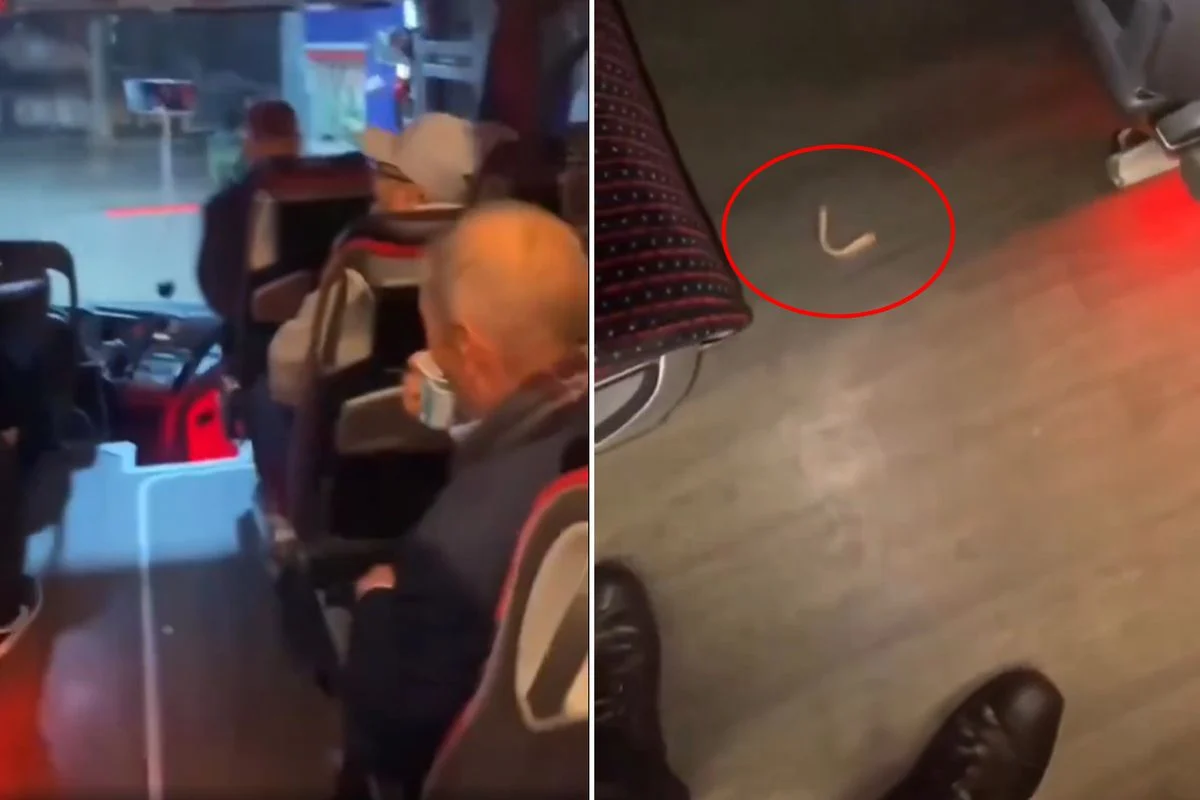 Yapılan açıklamalar doğrultusunda, Otobüste Yaşanan Komik Anlar Kameralara Yansıdı Şehirler