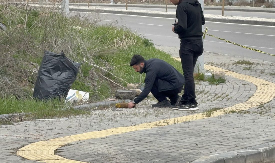 Gündeme gelen son gelişmelere göre, Şüpheli Poşet Sokakta Paniğe Yol