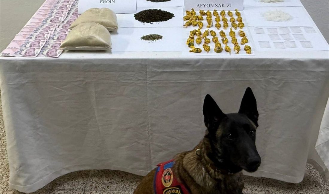 Tokat’ta Uyuşturucu Operasyonu: 2 Kilodan Fazla Madde ve 8 Bin Lira Ele Geçirildi Son dakika bilgilerine göre, Tokat’ta Uyuşturucu Operasyonu: 1 Şüpheli Yakalandı