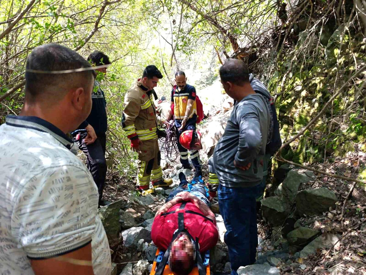 Tüm gözlerin çevrildiği bu gelişmede, Kekik toplama seferi hayati riske