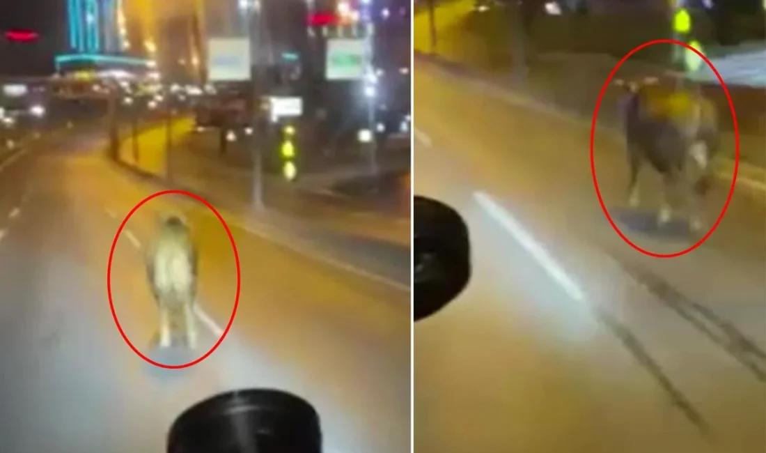 Kamuoyunda büyük yankı uyandıran bu haberde, İstanbul E-5’te Beklenmedik Trafik