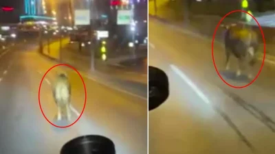 Kamuoyunda büyük yankı uyandıran bu haberde, İstanbul E-5’te Beklenmedik Trafik