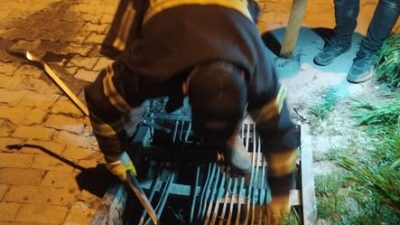 Merakla takip edilen bu gelişmede, Minik Dostumuzun Kurtuluş Hikayesi Bolvadin’in
