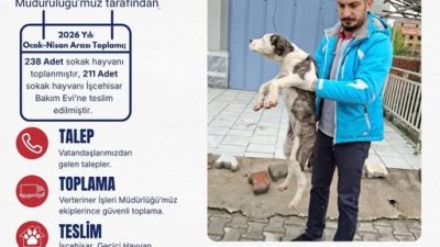 Gündeme gelen son gelişmelere göre, Emirdağ’da sokak hayvanları için örnek