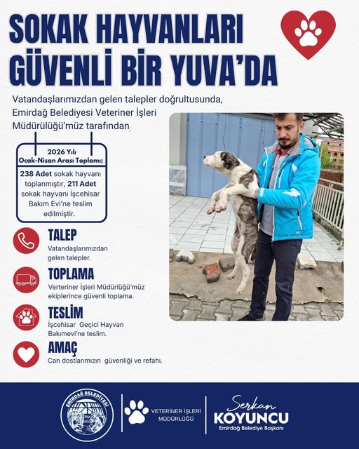 Gündeme gelen son gelişmelere göre, Emirdağ’da sokak hayvanları için örnek