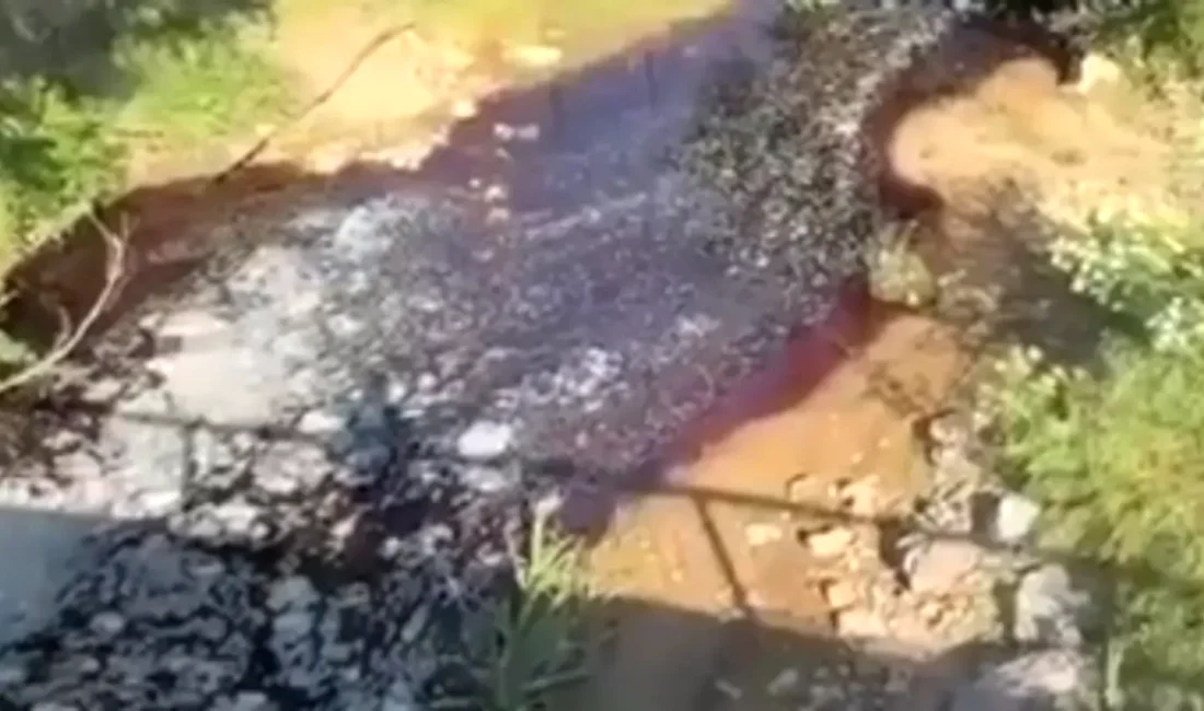 Kocaeli’nin Gebze ilçesine bağlı Ovacık Mahallesi, Kurban Bayramı sonrasında yaşanan