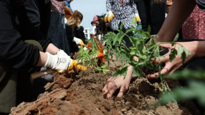Kent yaşamında tarımsal üretimi desteklemek ve kadınların ekonomiye katılımını artırmak
