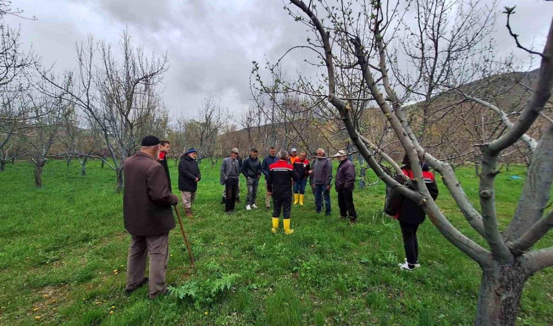 Yapılan açıklamalar doğrultusunda, Otlukbeli Üreticileri Budama Tekniklerini Öğrendi. Otlukbeli Üreticileri