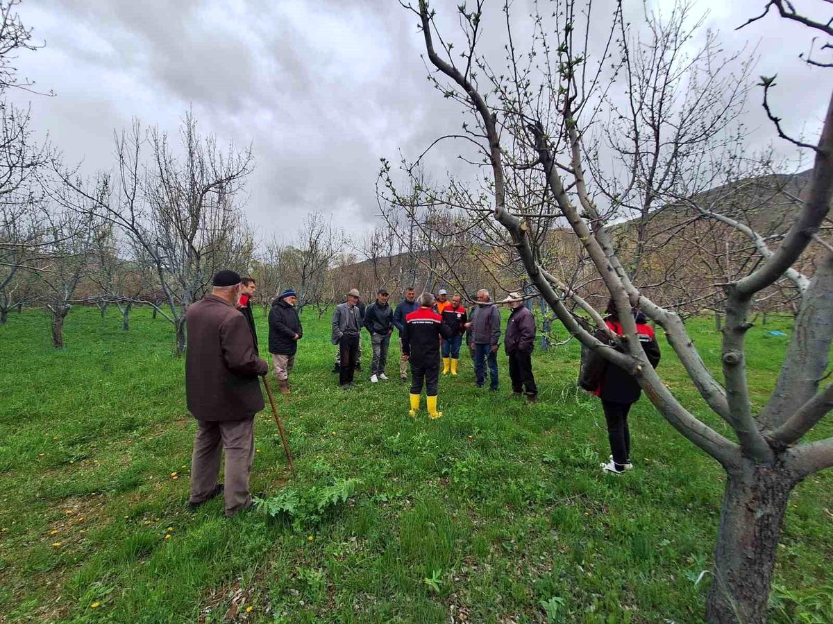 Yapılan açıklamalar doğrultusunda, Otlukbeli Üreticileri Budama Tekniklerini Öğrendi. Otlukbeli Üreticileri