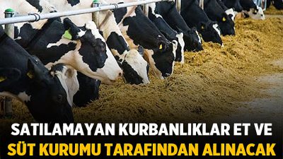 Kurban Bayramı’nın ardından ellerindeki kurbanlıkları satamayan üreticiler için sevindirici haber
