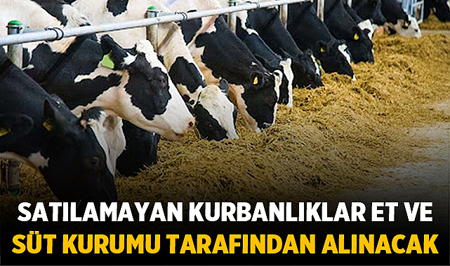 Kurban Bayramı’nın ardından ellerindeki kurbanlıkları satamayan üreticiler için sevindirici haber