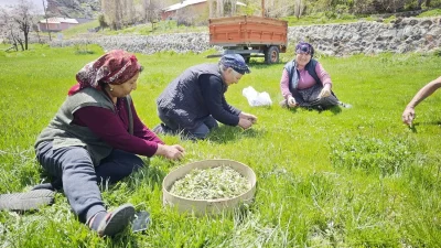 Son dakika bilgilerine göre, Doğanın Şifalı Lezzeti Tezgahlarda Sivas ve
