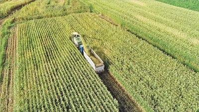 Merakla takip edilen bu gelişmede, Küresel tarım piyasaları, 2023’ten bu