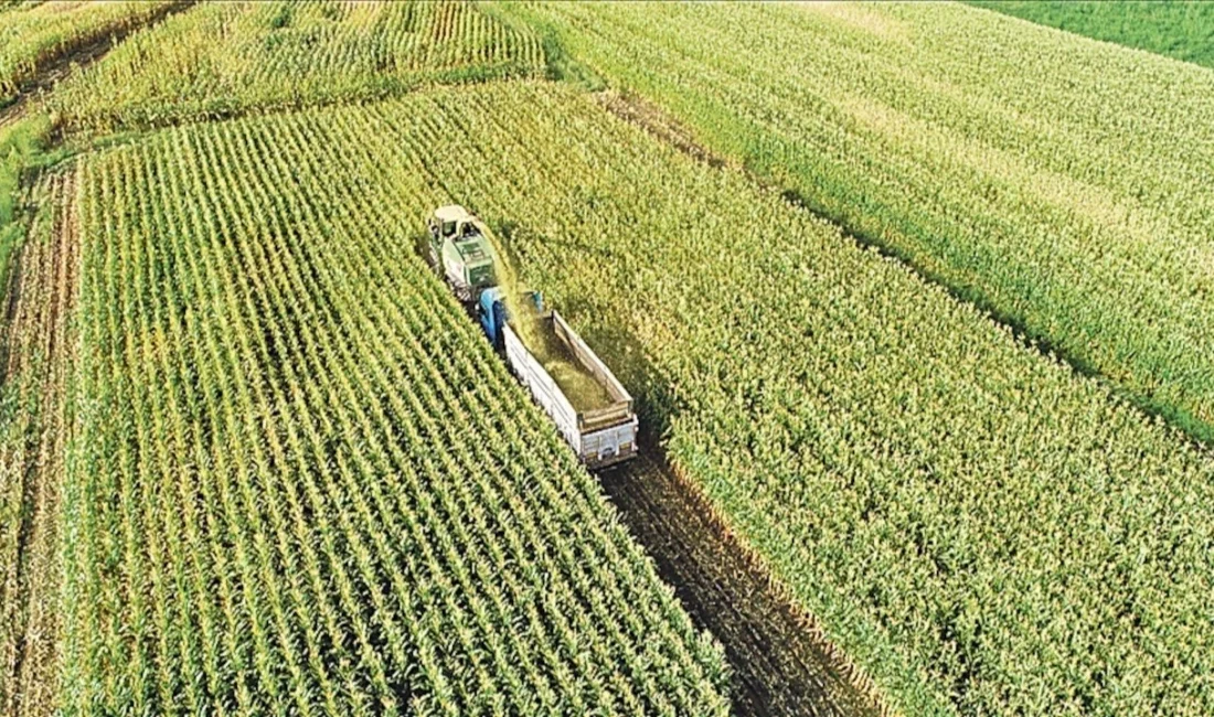 Gündeme gelen son gelişmelere göre, Küresel tarım piyasaları, 2023’ten bu
