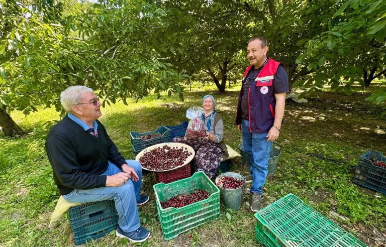 HASAT ÖNCESİ PESTİSİT DENETİMLERİ DEVAM EDİYOR