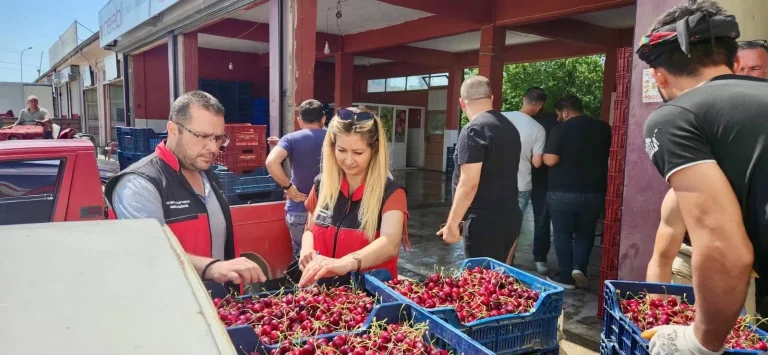 MEYVE ALIM NOKTALARINDA DENETİMLER DEVAM EDİYOR