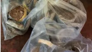 İnternetten Yemek Siparişi Verenler Dikkate: Tonlarca Bozuk Gıda Muhafaza Altında!