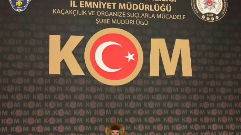 Şehir Merkezindeki Eve Şok Baskın: Evde Maymun Besleyen Şüpheli Yakalandı