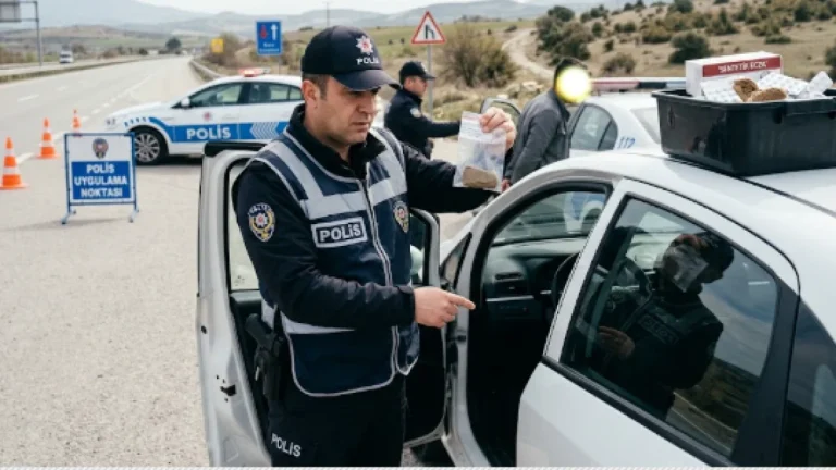 Uygulama Noktasında Kaçamadı: Araçta Ele Geçirilen Maddeler Sonrası Cezaevine Gönderildi