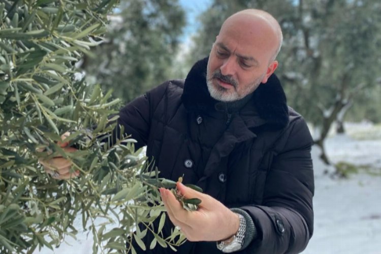 Türkiye Büyük Millet Meclisi Tarım, Orman ve Köyişleri Komisyonu Katip