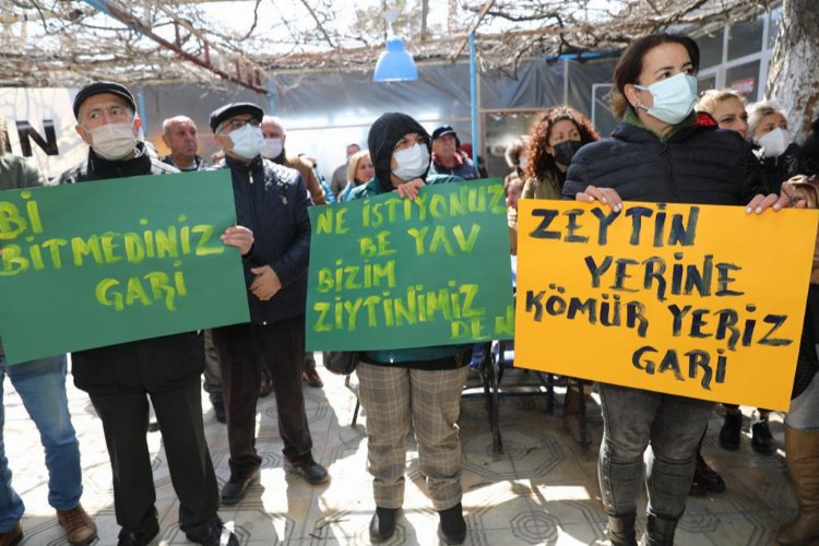 Didim Derneği’nin Didim Akköy Meydanında 19 Mart günü düzenlediği “ZEYTİNİME